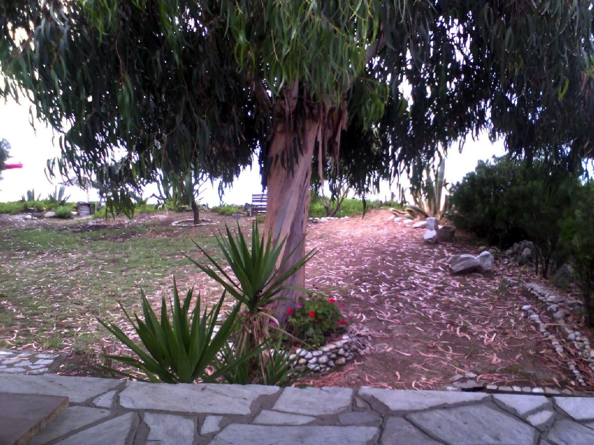 Agrelia House Villa Ouranoupoli Exterior photo
